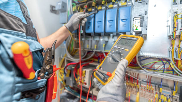 Best Electrical System Inspection  in Hurley, MS